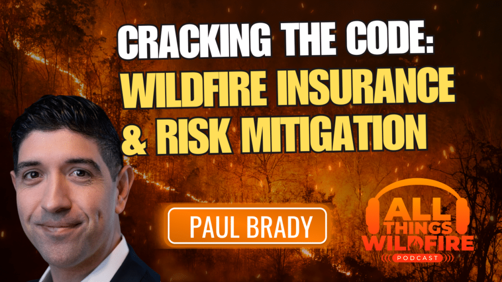 Paul Brady